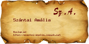 Szántai Amália névjegykártya